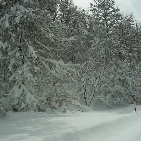 Σπίτι διακοπών Casa Ludi Valdeon *
