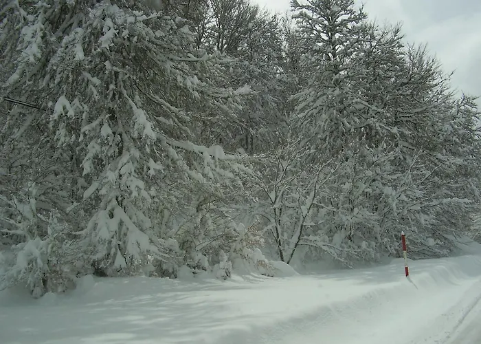 Casa de Férias Casa Ludi Valdeon *